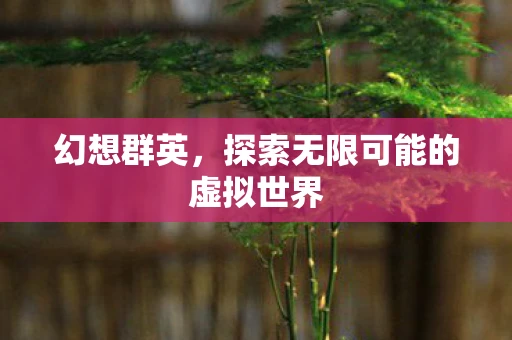 幻想群英，探索无限可能的虚拟世界