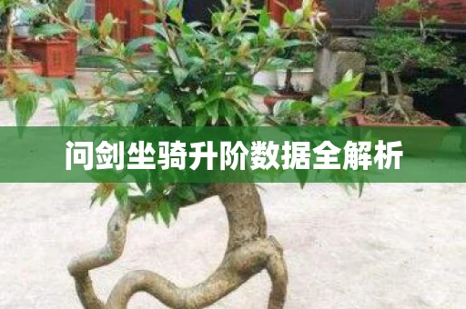 问剑坐骑升阶数据全解析