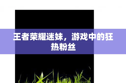 游戏中的狂热粉丝图片