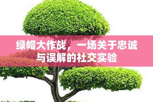 绿帽大作战，一场关于忠诚与误解的社交实验