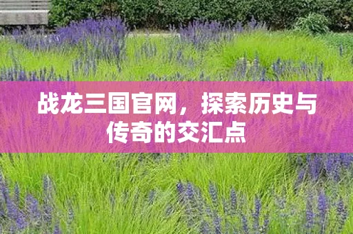 战龙三国官网，探索历史与传奇的交汇点
