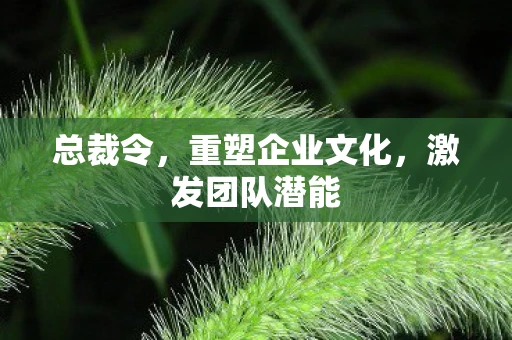 总裁令，重塑企业文化，激发团队潜能