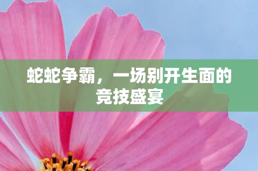 蛇蛇争霸，一场别开生面的竞技盛宴