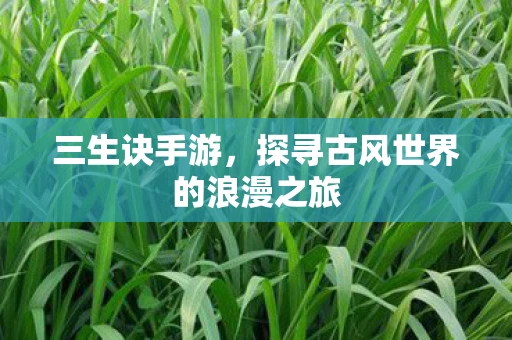 三生诀手游，探寻古风世界的浪漫之旅