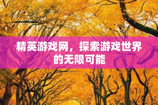 精英游戏网，探索游戏世界的无限可能