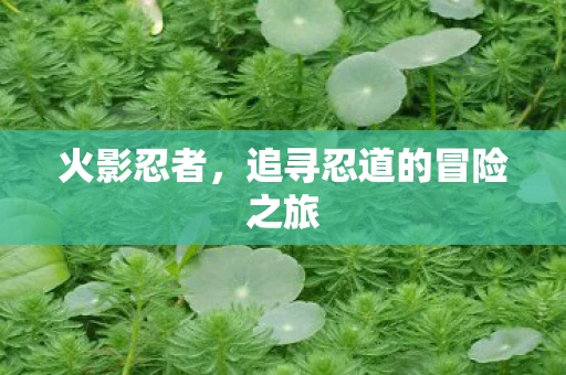 火影忍者，追寻忍道的冒险之旅