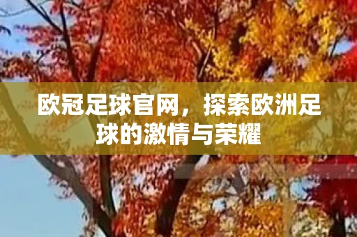 欧冠足球官网，探索欧洲足球的激情与荣耀