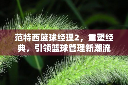 范特西篮球经理2，重塑经典，引领篮球管理新潮流