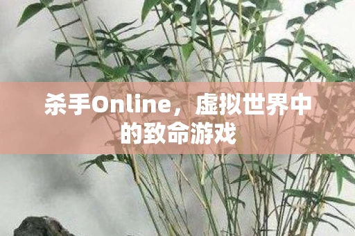杀手Online，虚拟世界中的致命游戏