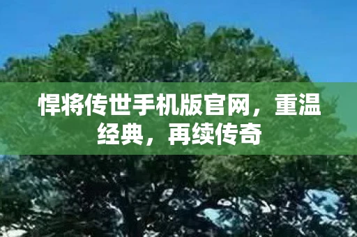 悍将传世手机版官网，重温经典，再续传奇
