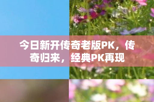 今日新开传奇老版PK图片