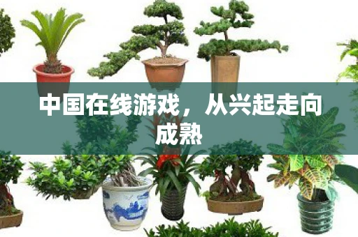 中国在线游戏，从兴起走向成熟