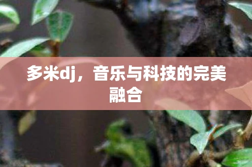 多米dj，音乐与科技的完美融合