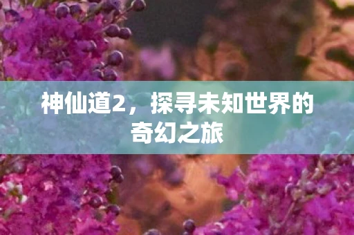 神仙道2，探寻未知世界的奇幻之旅