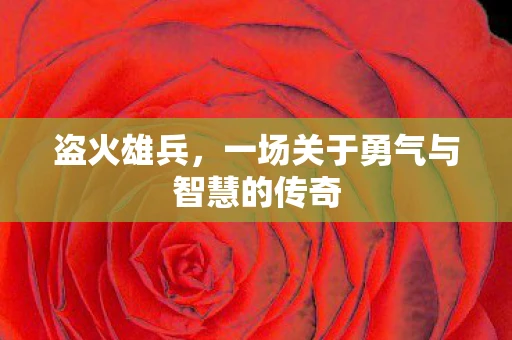 盗火雄兵，一场关于勇气与智慧的传奇