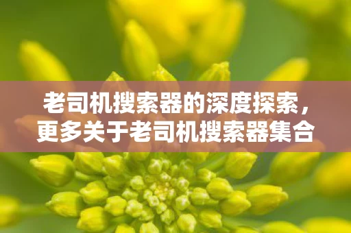 更多关于老司机搜索器集合的奥秘图片