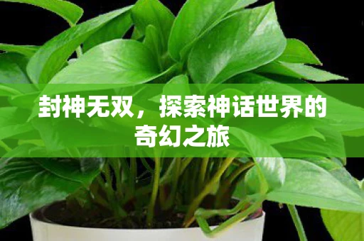 封神无双，探索神话世界的奇幻之旅