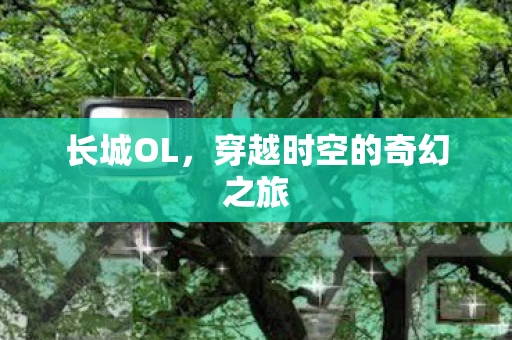 长城OL，穿越时空的奇幻之旅
