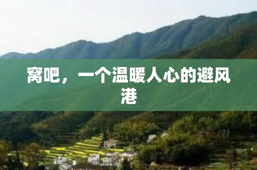 窝吧，一个温暖人心的避风港