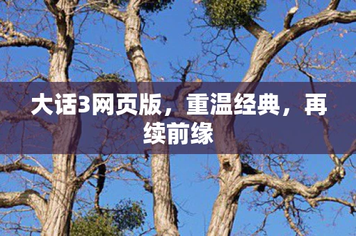 大话3网页版，重温经典，再续前缘