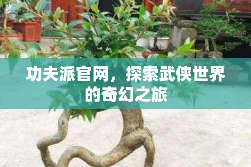 功夫派官网，探索武侠世界的奇幻之旅