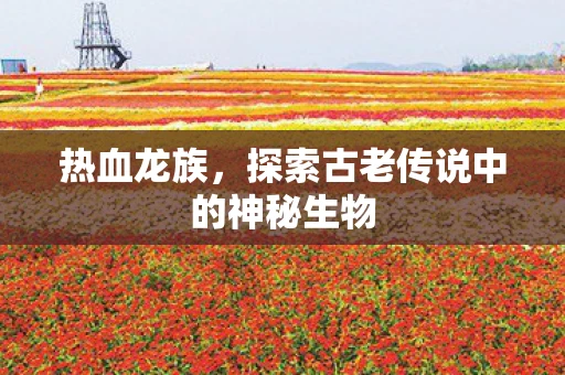 热血龙族，探索古老传说中的神秘生物