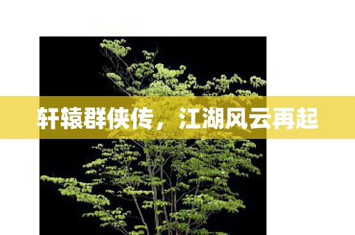 轩辕群侠传，江湖风云再起