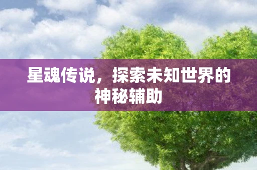 星魂传说，探索未知世界的神秘辅助