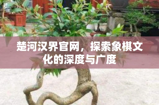 楚河汉界官网，探索象棋文化的深度与广度