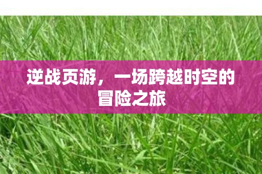 逆战页游，一场跨越时空的冒险之旅