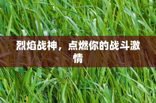 烈焰战神，点燃你的战斗激情