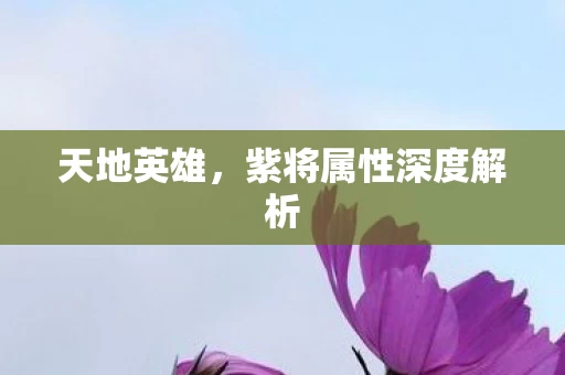 紫将属性深度解析图片