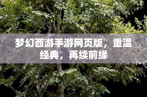 梦幻西游手游网页版，重温经典，再续前缘