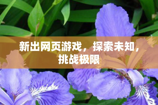 新出网页游戏，探索未知，挑战极限