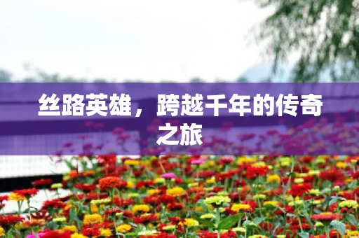 丝路英雄，跨越千年的传奇之旅