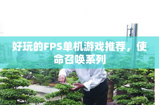 好玩的FPS单机游戏推荐图片