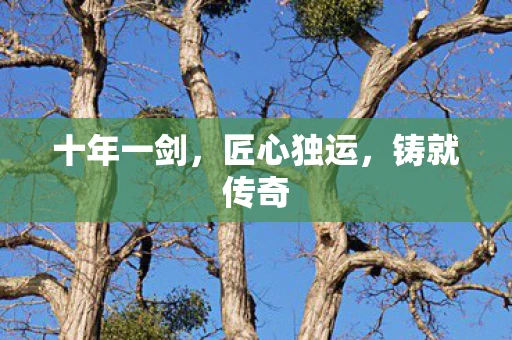 十年一剑，匠心独运，铸就传奇