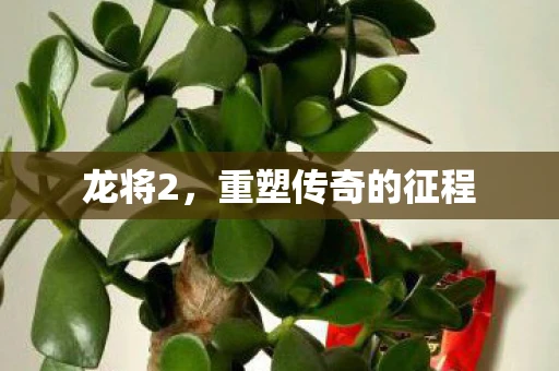 龙将2，重塑传奇的征程