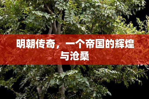 明朝传奇，一个帝国的辉煌与沧桑