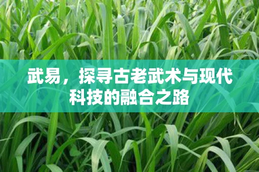 武易，探寻古老武术与现代科技的融合之路