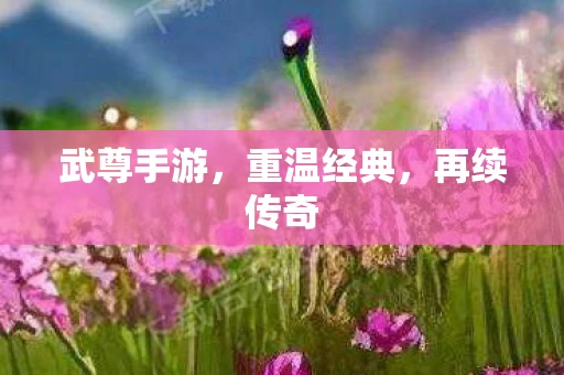 武尊手游，重温经典，再续传奇