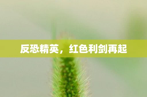 红色利剑再起图片