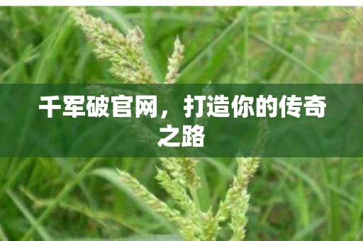 千军破官网，打造你的传奇之路
