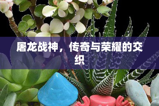 屠龙战神，传奇与荣耀的交织