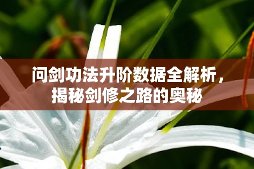 问剑功法升阶数据全解析，揭秘剑修之路的奥秘