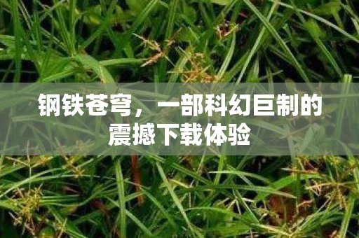 钢铁苍穹，一部科幻巨制的震撼下载体验