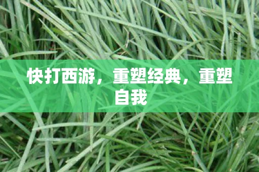 快打西游，重塑经典，重塑自我