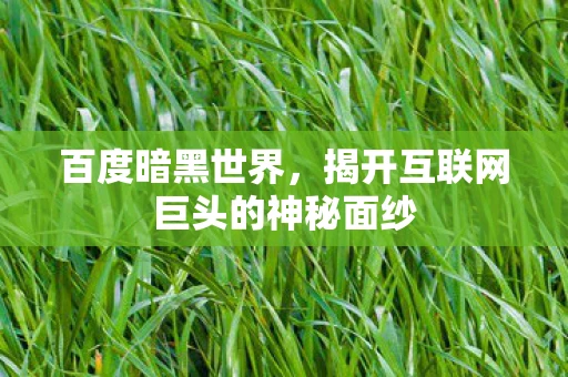 百度暗黑世界，揭开互联网巨头的神秘面纱