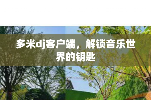 多米dj客户端，解锁音乐世界的钥匙
