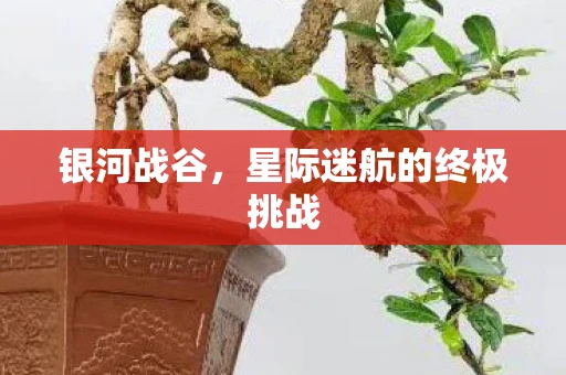 银河战谷，星际迷航的终极挑战